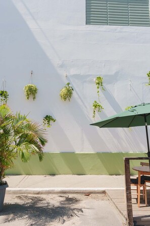 Un espace patio avec un mur blanc, une partie inférieure verte et des plantes suspendues.