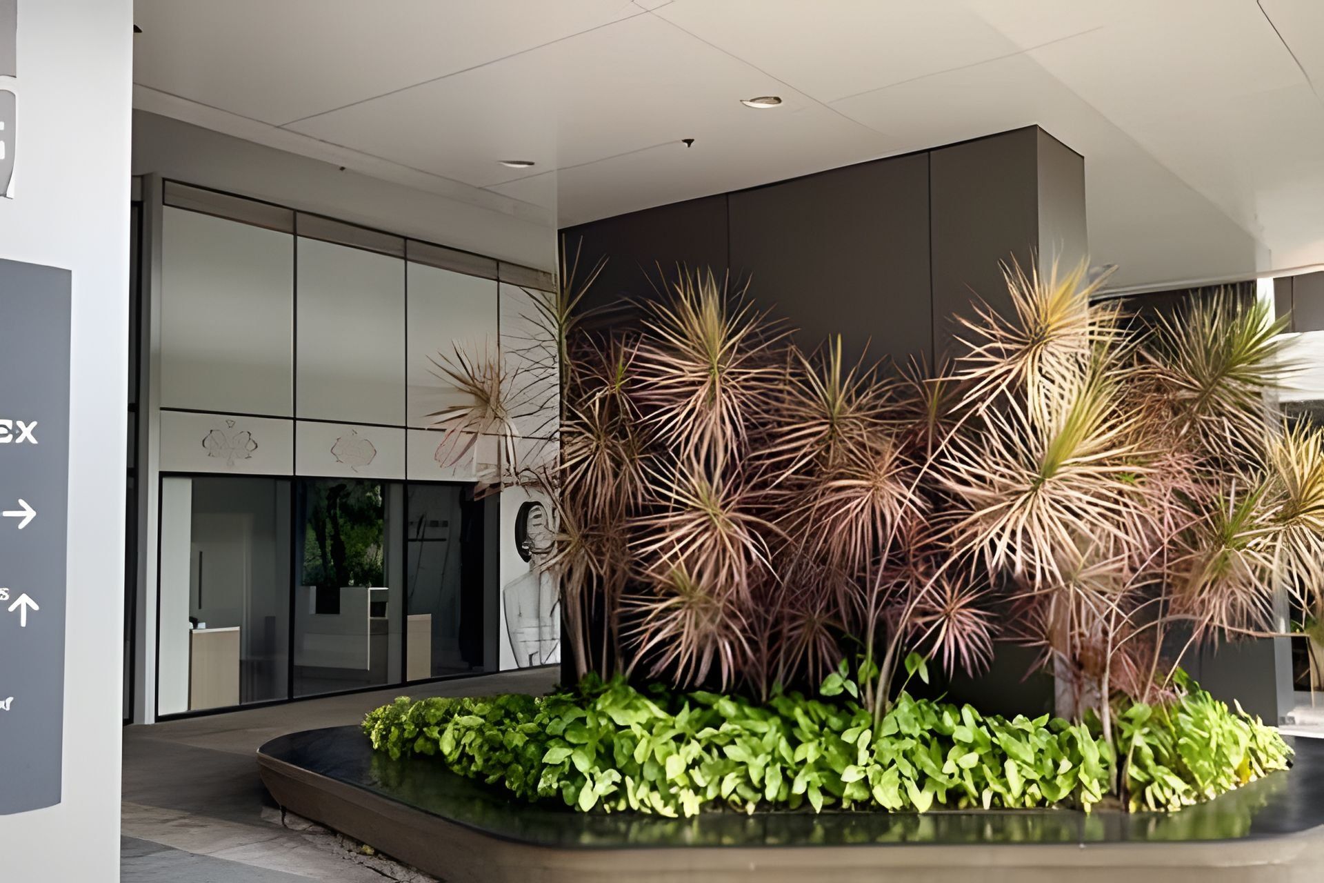 A modern indoor space with a reception area, a glass wall, and a planter with various plants.
