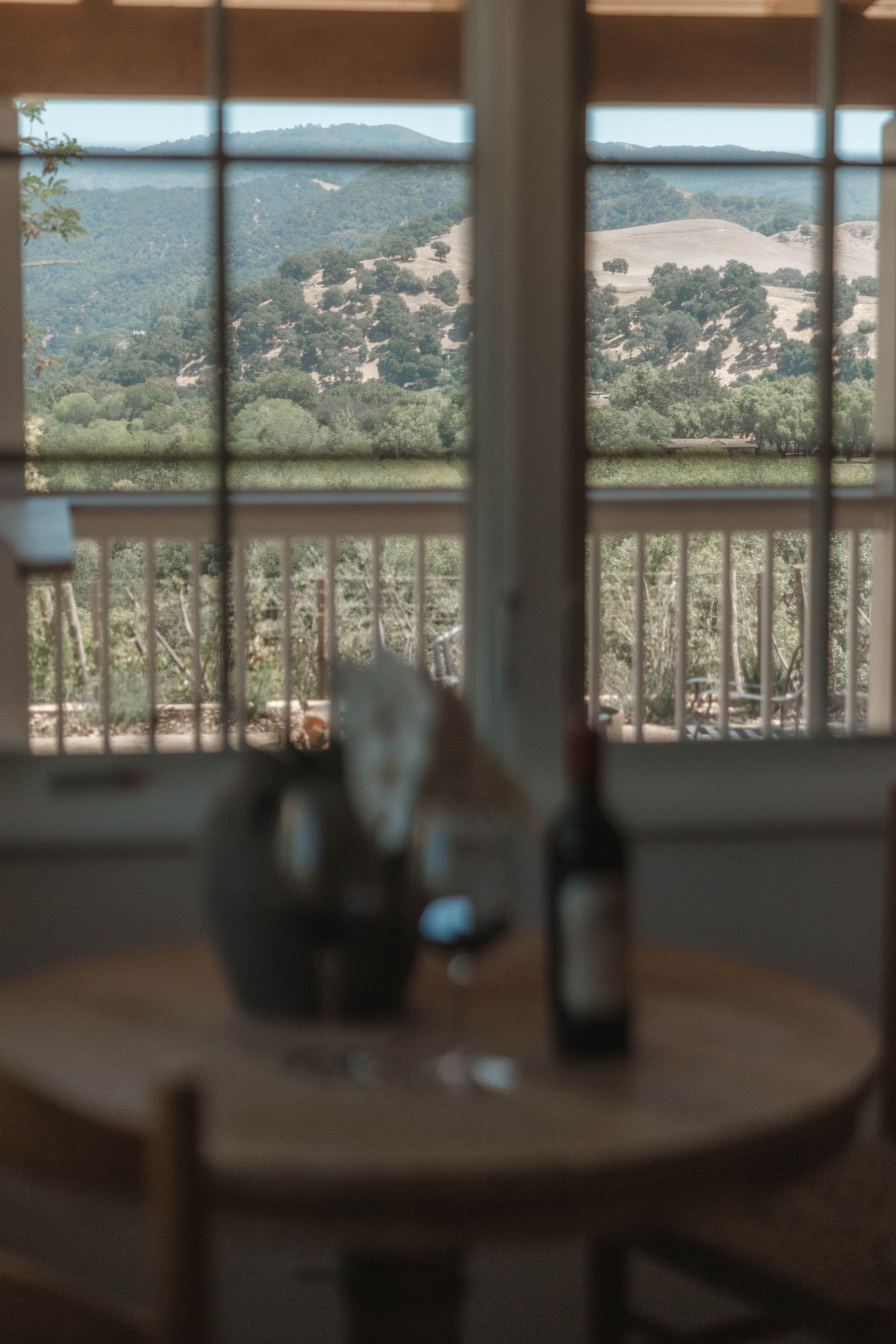 A table with a bottle and a bowl in a room with large windows overlooking a hilly landscape.