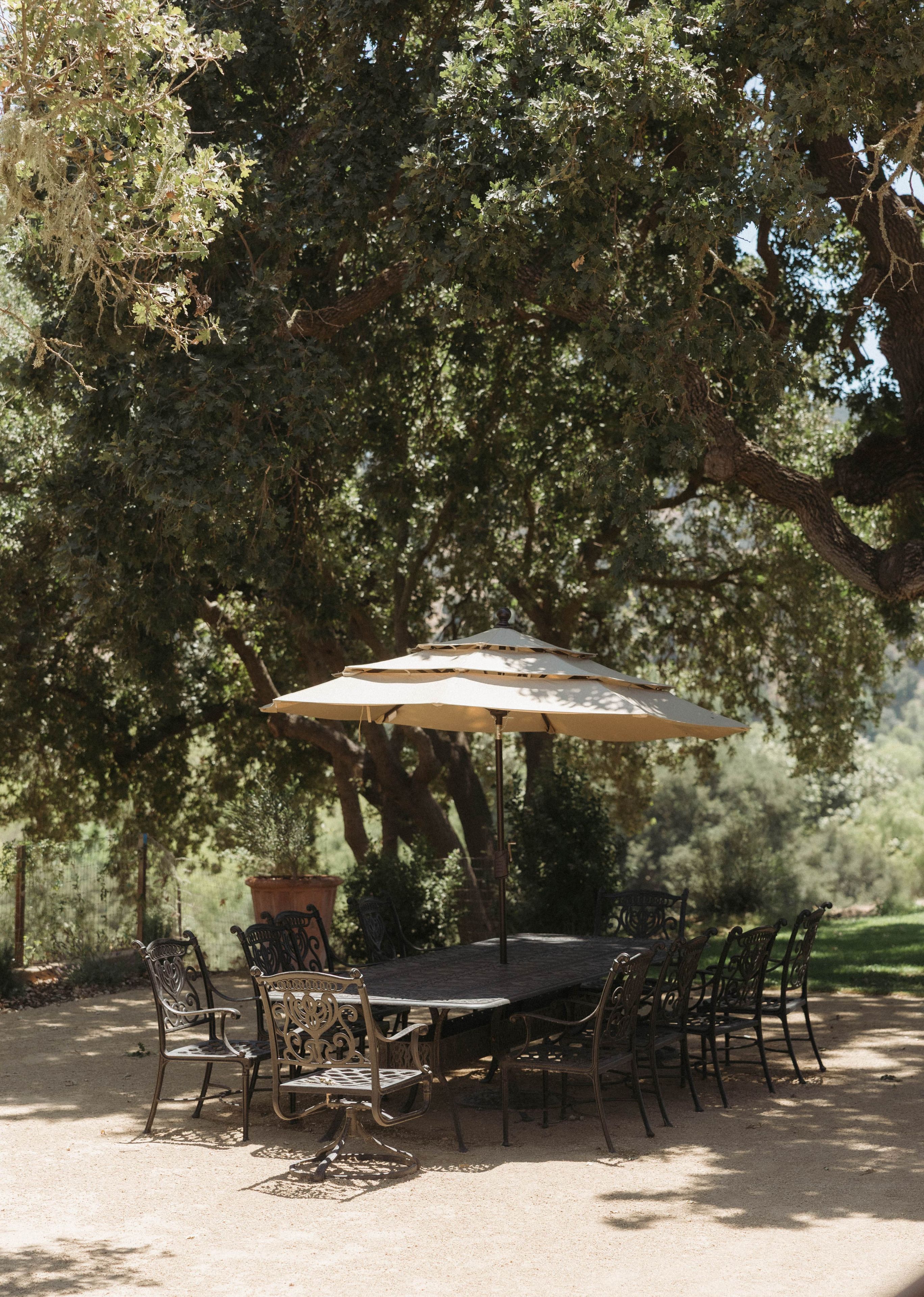 An outdoor dining area with a table and chairs under a large tree.