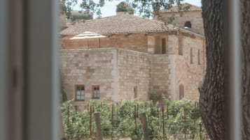 A view through a window of a building with a stone facade, a tiled roof, and a vineyard in the foreground.