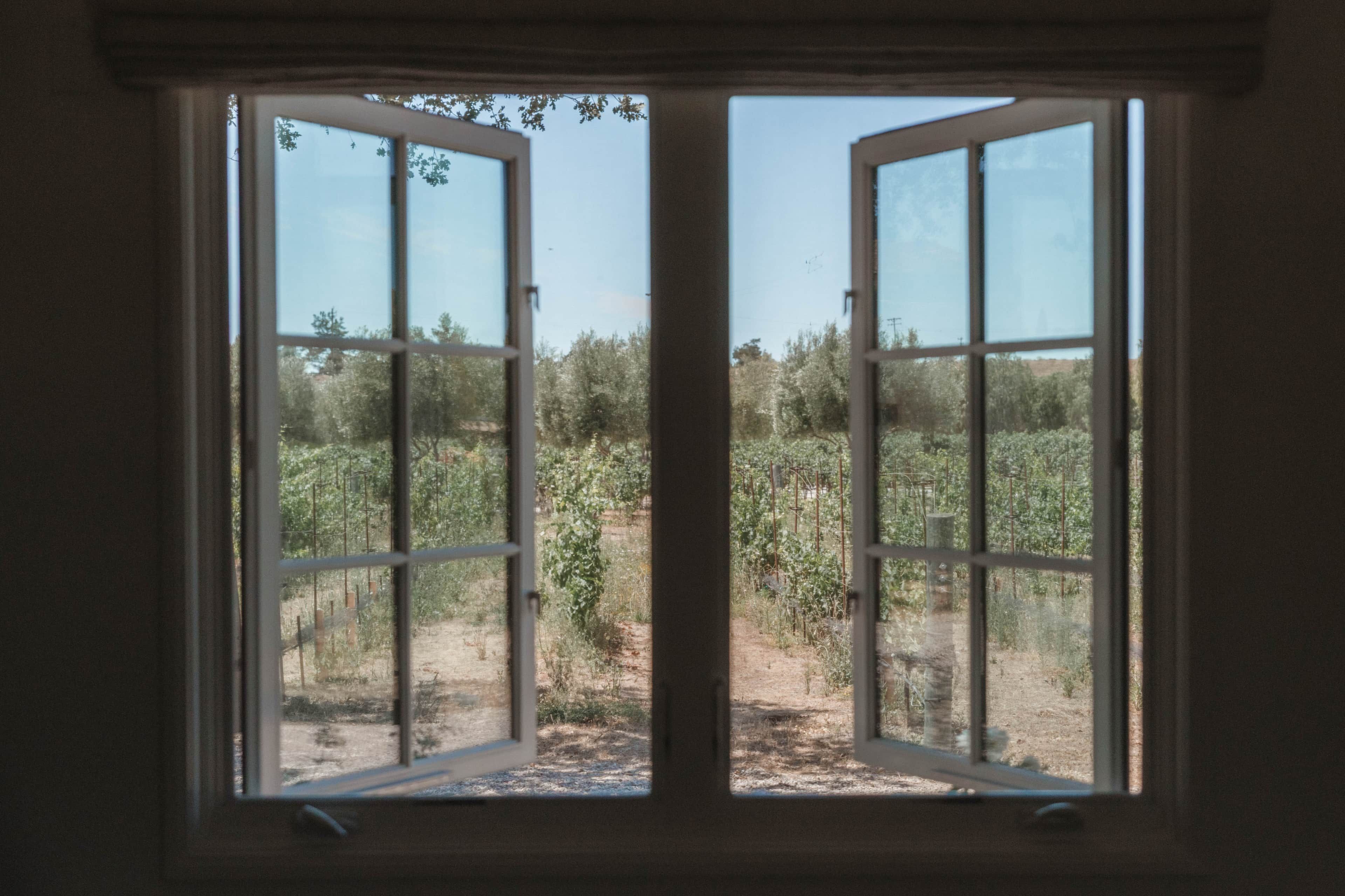 Una ventana con vista a un jardín.