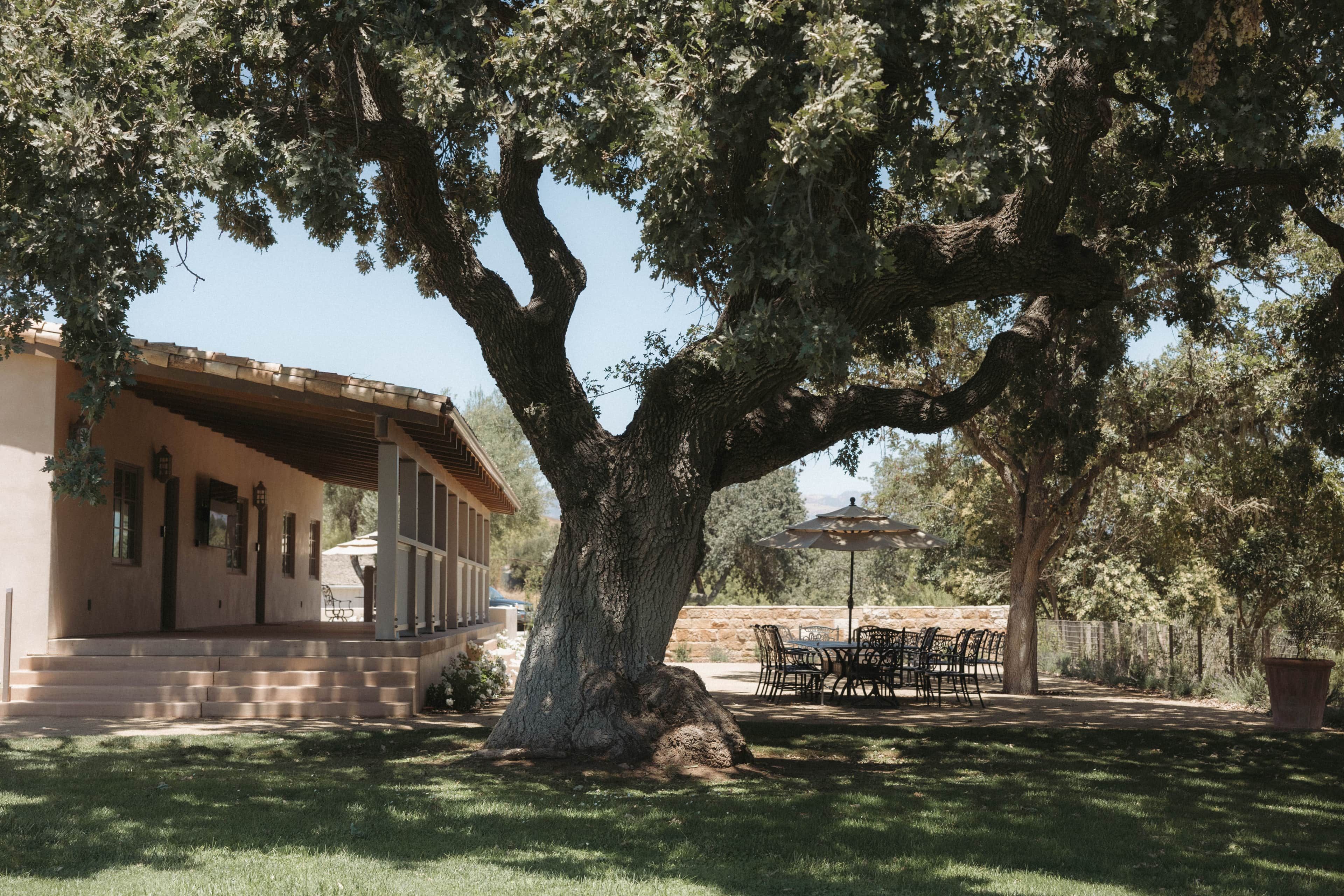 A building with a large tree in front, outdoor seating, and a clear sky.