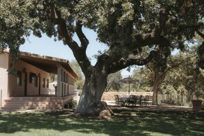Un edificio con un árbol grande al frente, mesas al aire libre y cielo despejado.