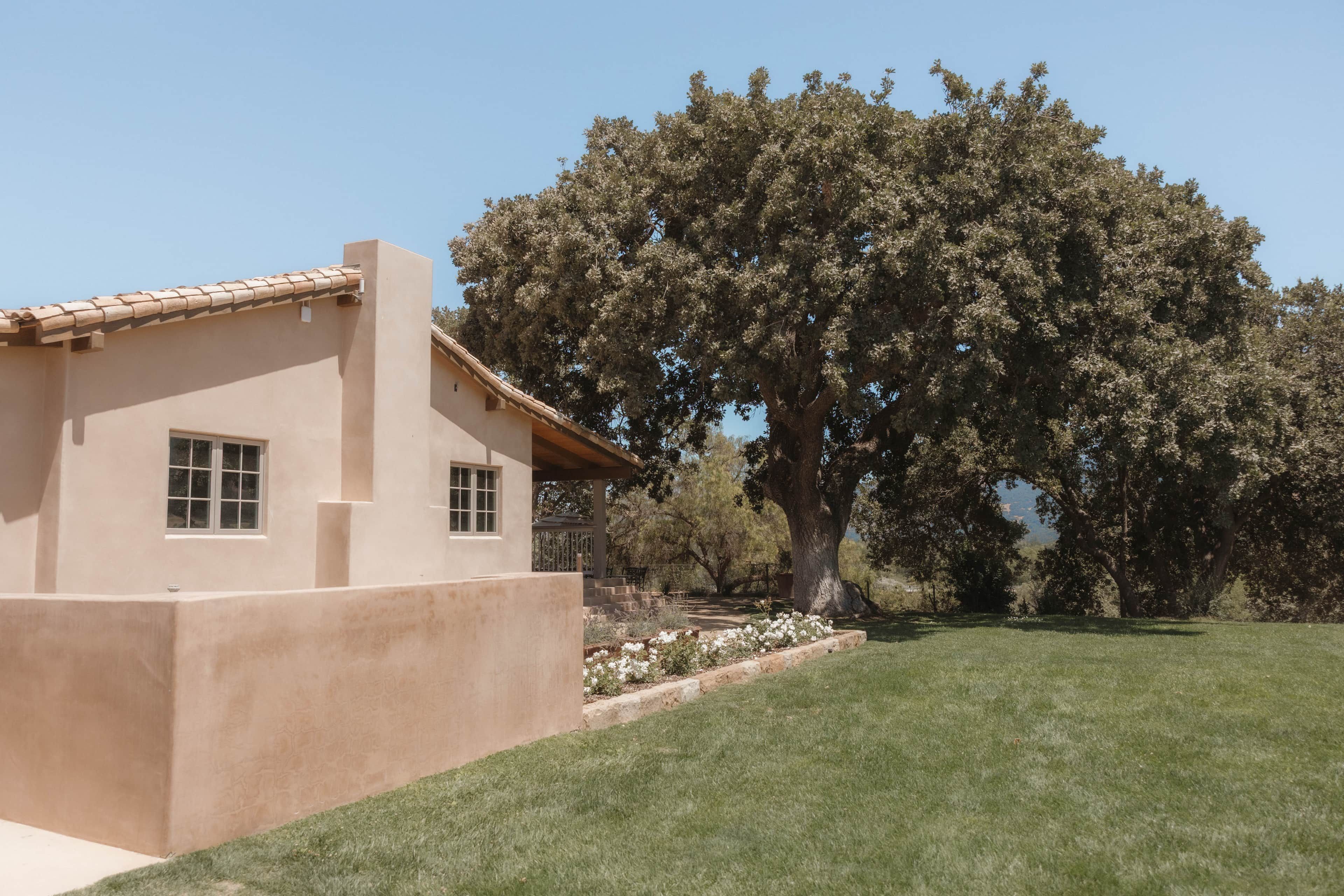 A single-story house with a flat roof and a large tree in the background.
