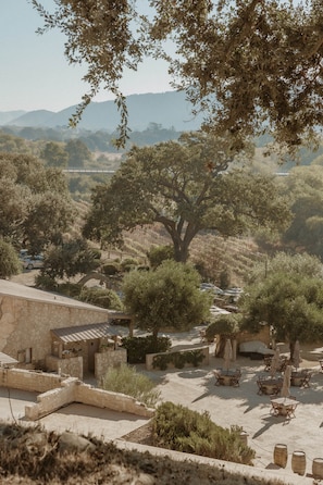A courtyard with outdoor seating, stone buildings, and a large tree.