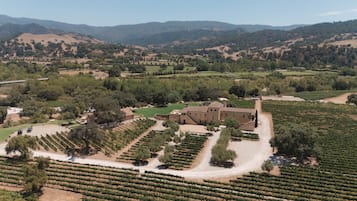 A vineyard with rows of grapevines, a stone building, and a dirt road.