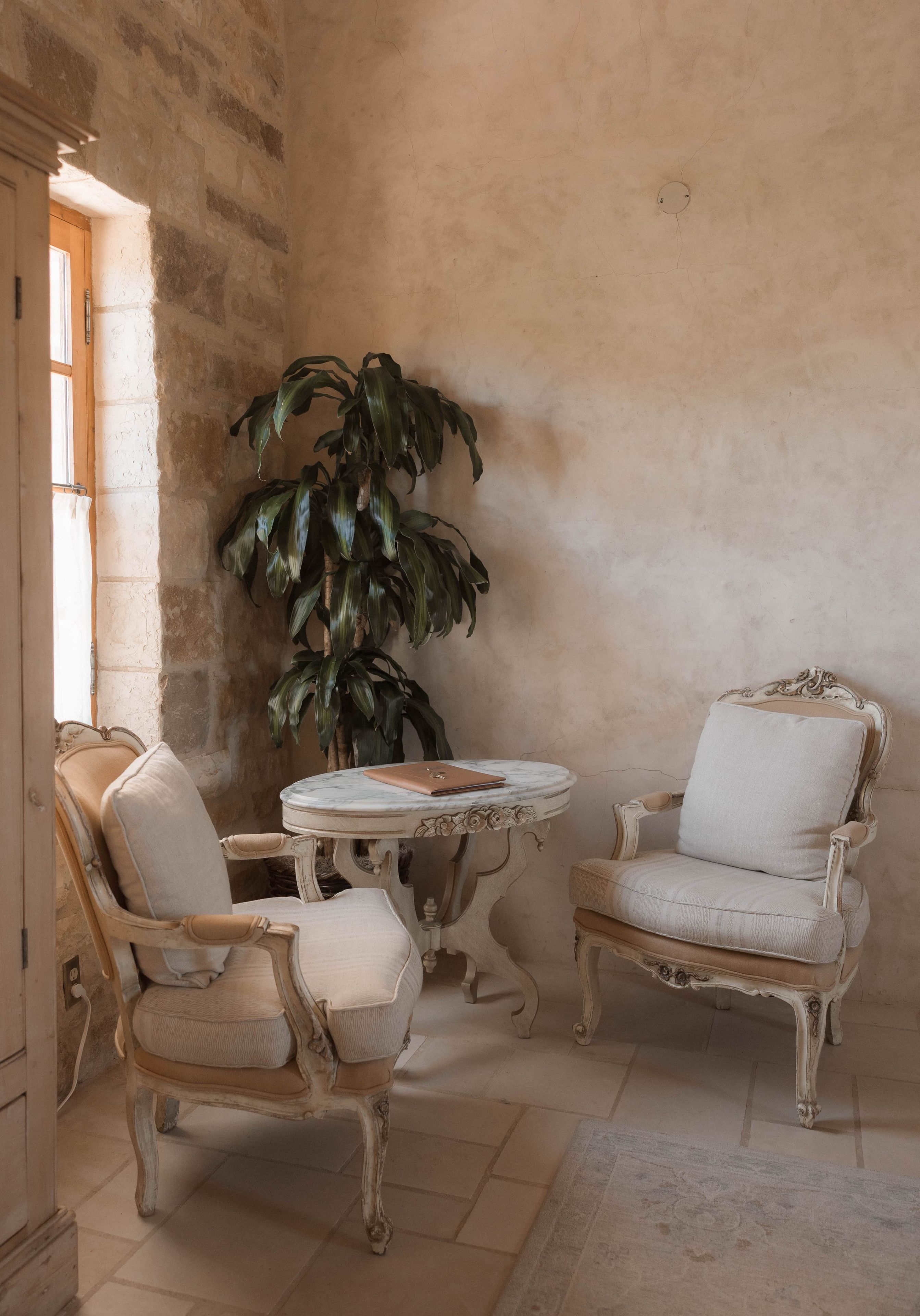 A room with two antique-style chairs, a small round table, and a large potted plant.
