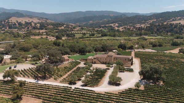 A vineyard with rows of grapevines, a stone building, and a dirt road.