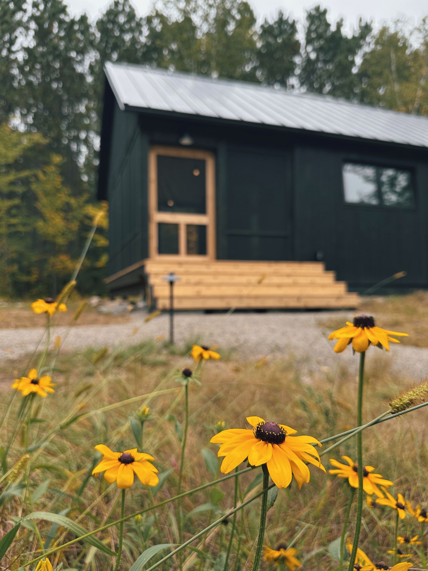 A cabin with a wooden front door and steps leading up to it, surrounded by yellow flowers.