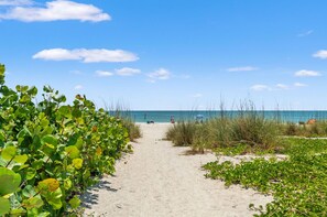 Uma trilha de areia que leva ao oceano, com vegetação verde nas laterais.