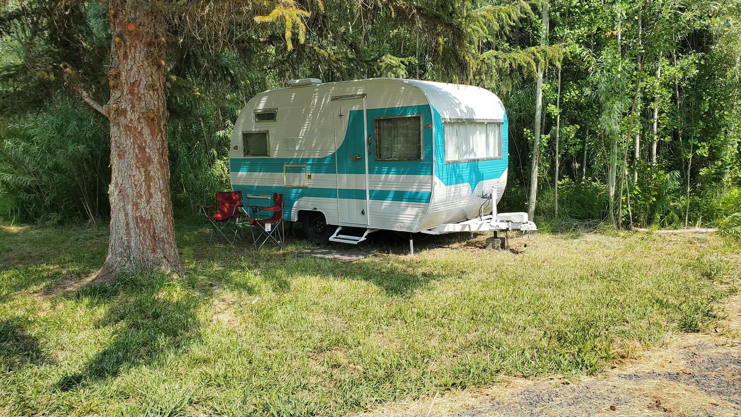 A stationary RV parked in a grassy area with trees in the background.