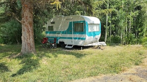 A stationary RV parked in a grassy area with trees in the background. - The -DaLtOn- (Naches)