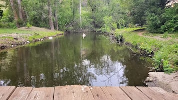 A wooden deck overlooking a pond surrounded by greenery.