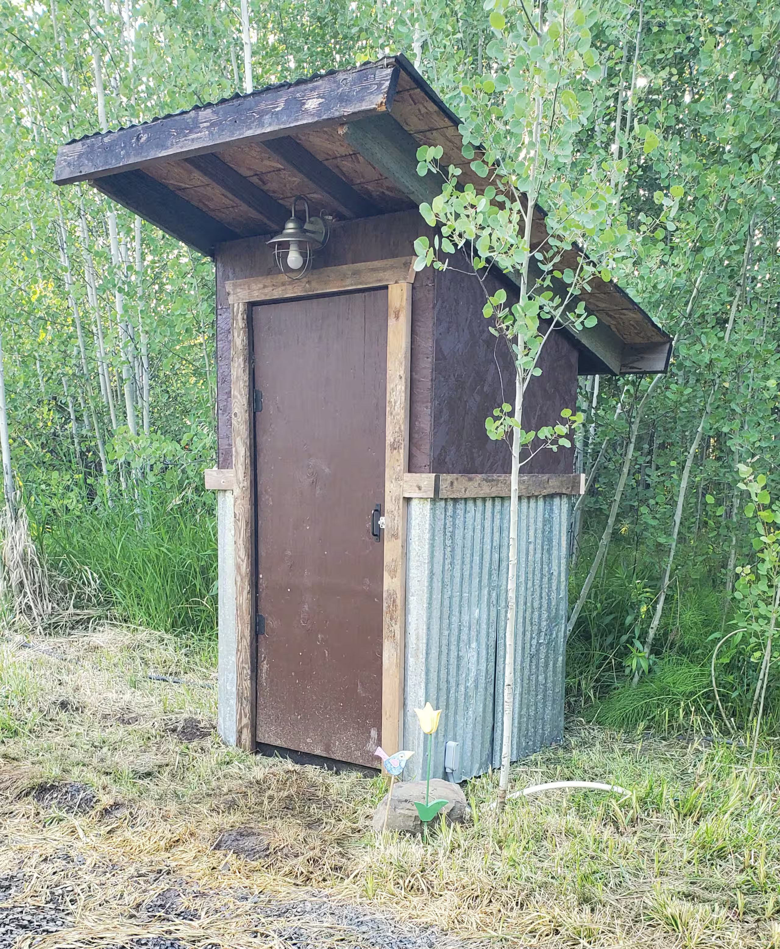 Eksteriør