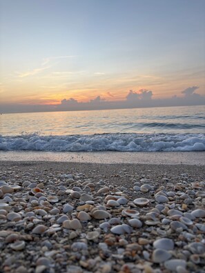 A beach with pebbles and waves. - Oceanfront 2 Bedroom Unit for 6 people at Palm Beach Shores Resort Singer Island (Palm Beach Shores)