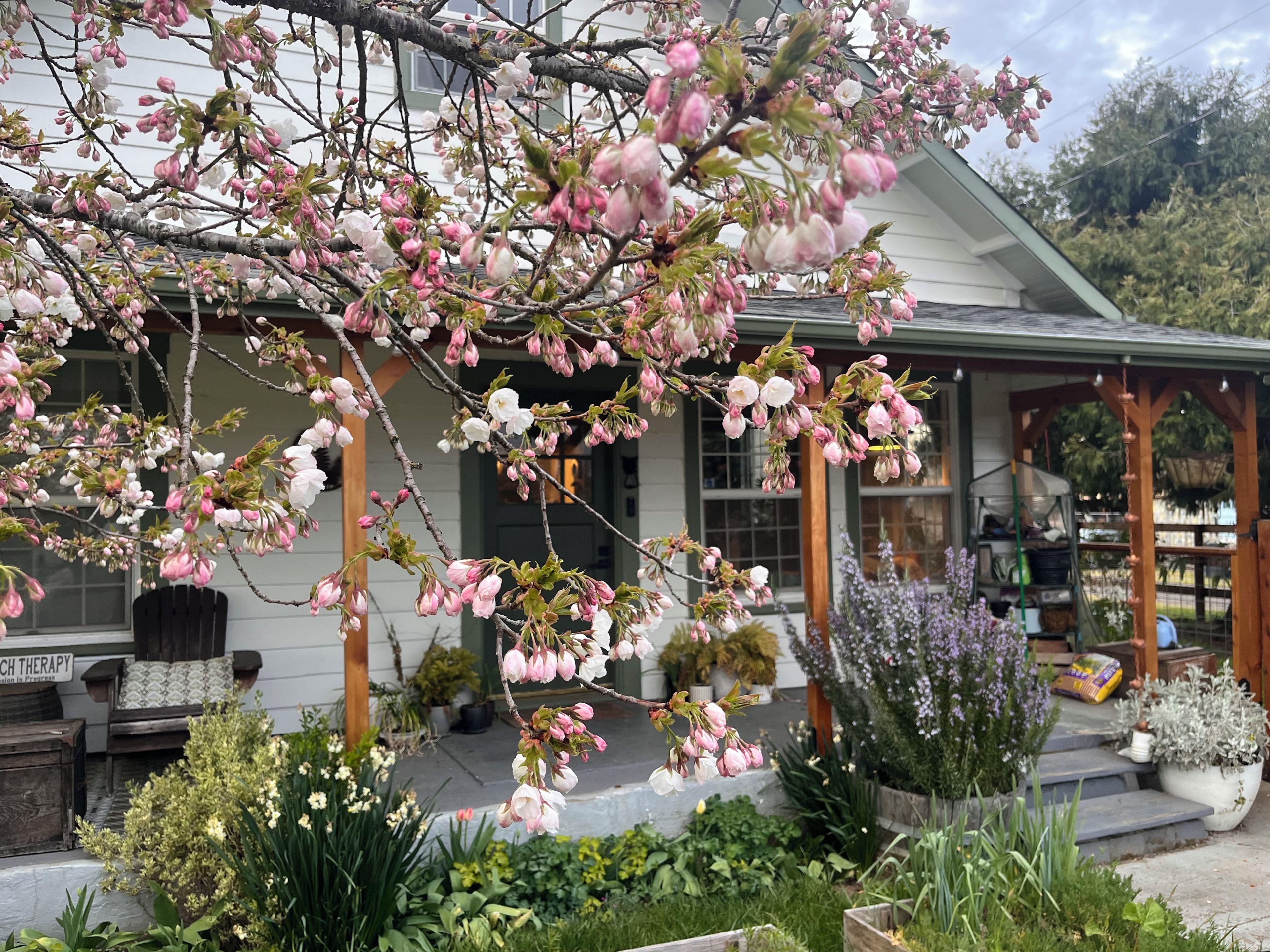 A house with a porch, surrounded by various plants and flowers.