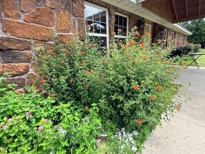 Een stenen gebouw met een raam en een tuin vol planten en bloemen.