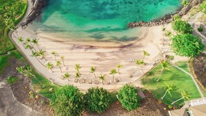 An aerial view of a beach with a curved shoreline, palm trees, and sun loungers arranged in rows. - NEW Mauna Lani Villa Sunset Designer Renovated (Waimea)