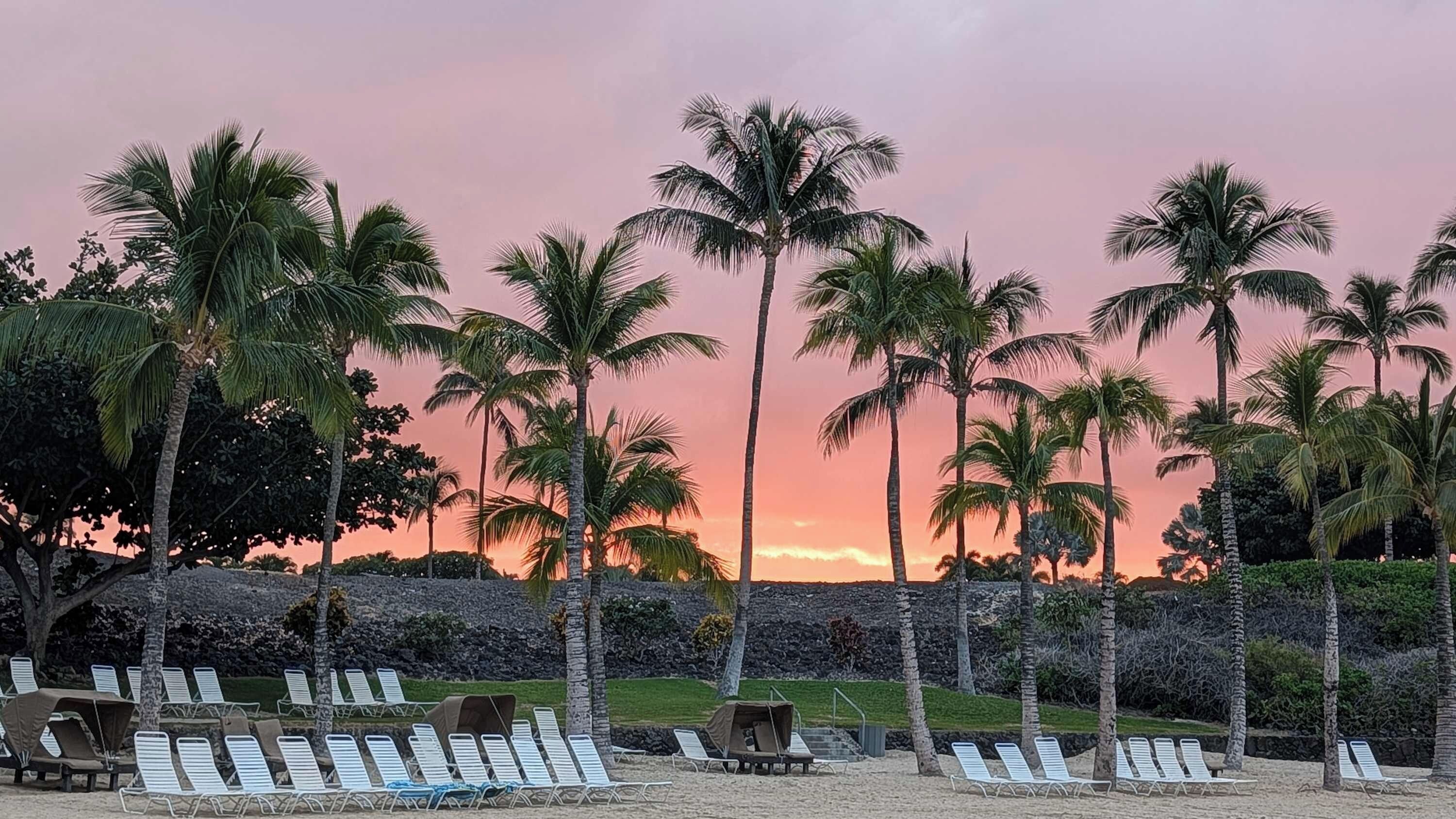A beach with palm trees and lounge chairs.