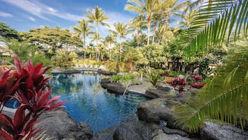 A pool surrounded by tropical vegetation and palm trees.