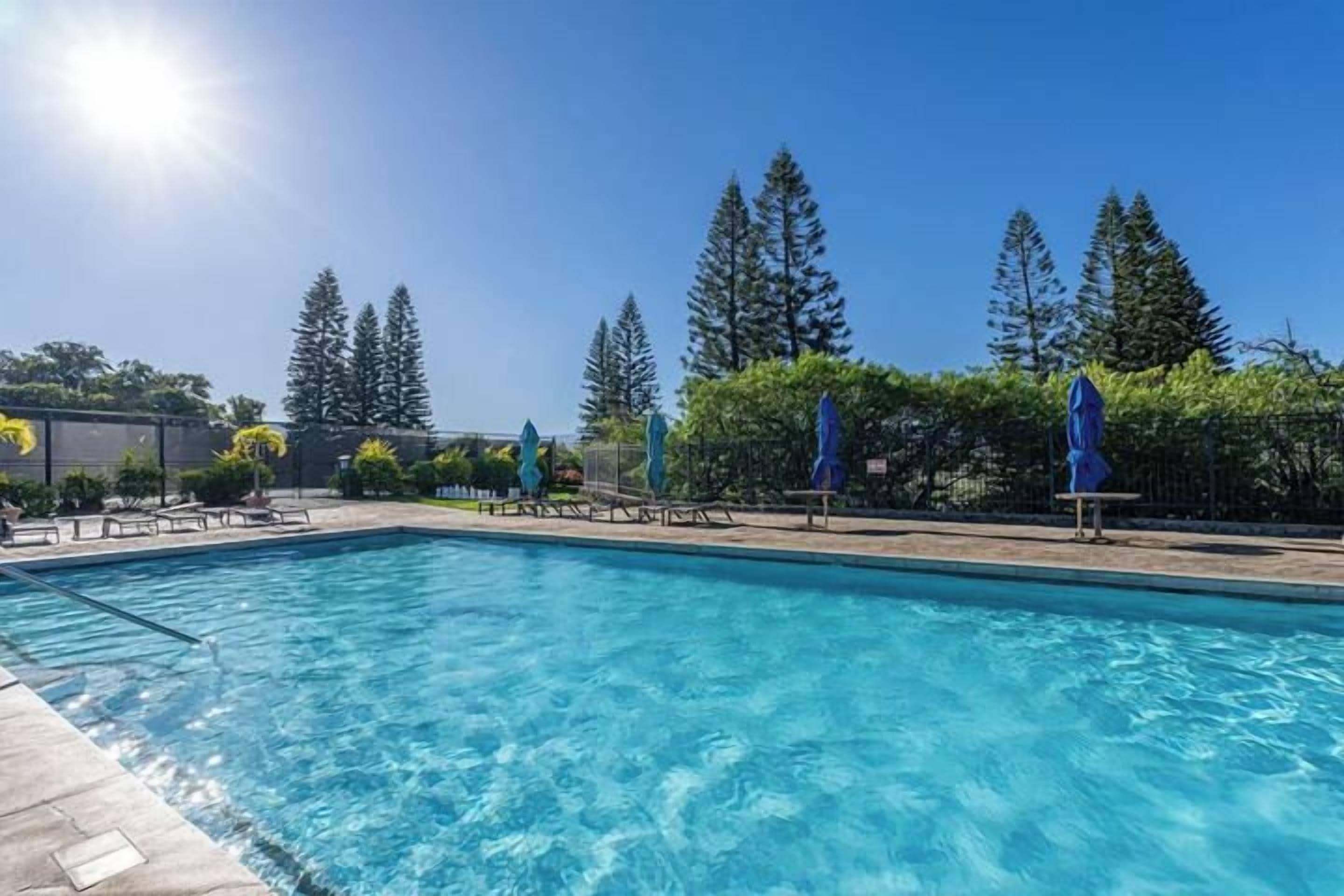A clear blue swimming pool with lounge chairs and umbrellas, surrounded by trees.