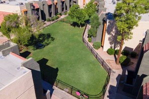 A rooftop with a green lawn, surrounded by trees and buildings. - Pool | Gym | Great For Mid/Long Stays (Mesa)