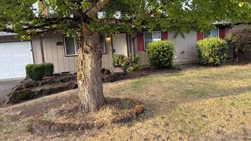 A residential property with a large tree, a well-maintained lawn, and a garage.