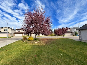 A residential street with houses, a tree with red leaves, and a clear sky. - Panorama Hills Manor | Private Luxury Main & Upper | Near YYC, Easy Banff Access (Calgary)