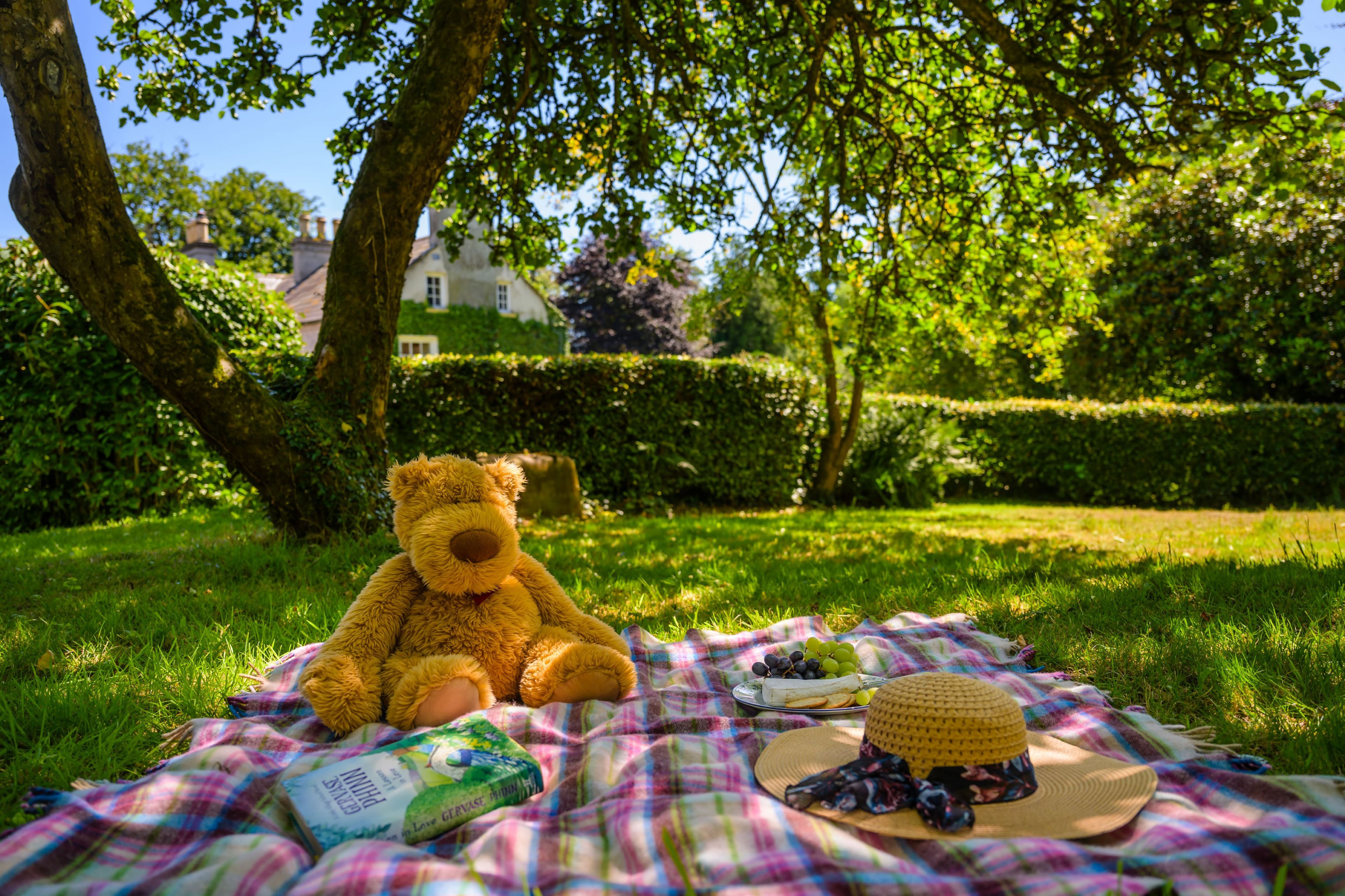 Ein Picknick mit Teddybär, Decke und Speisen auf der Wiese.
