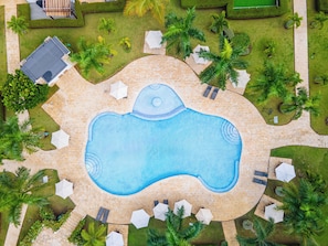 Vue aérienne d’une piscine entourée de palmiers et de chaises longues.
