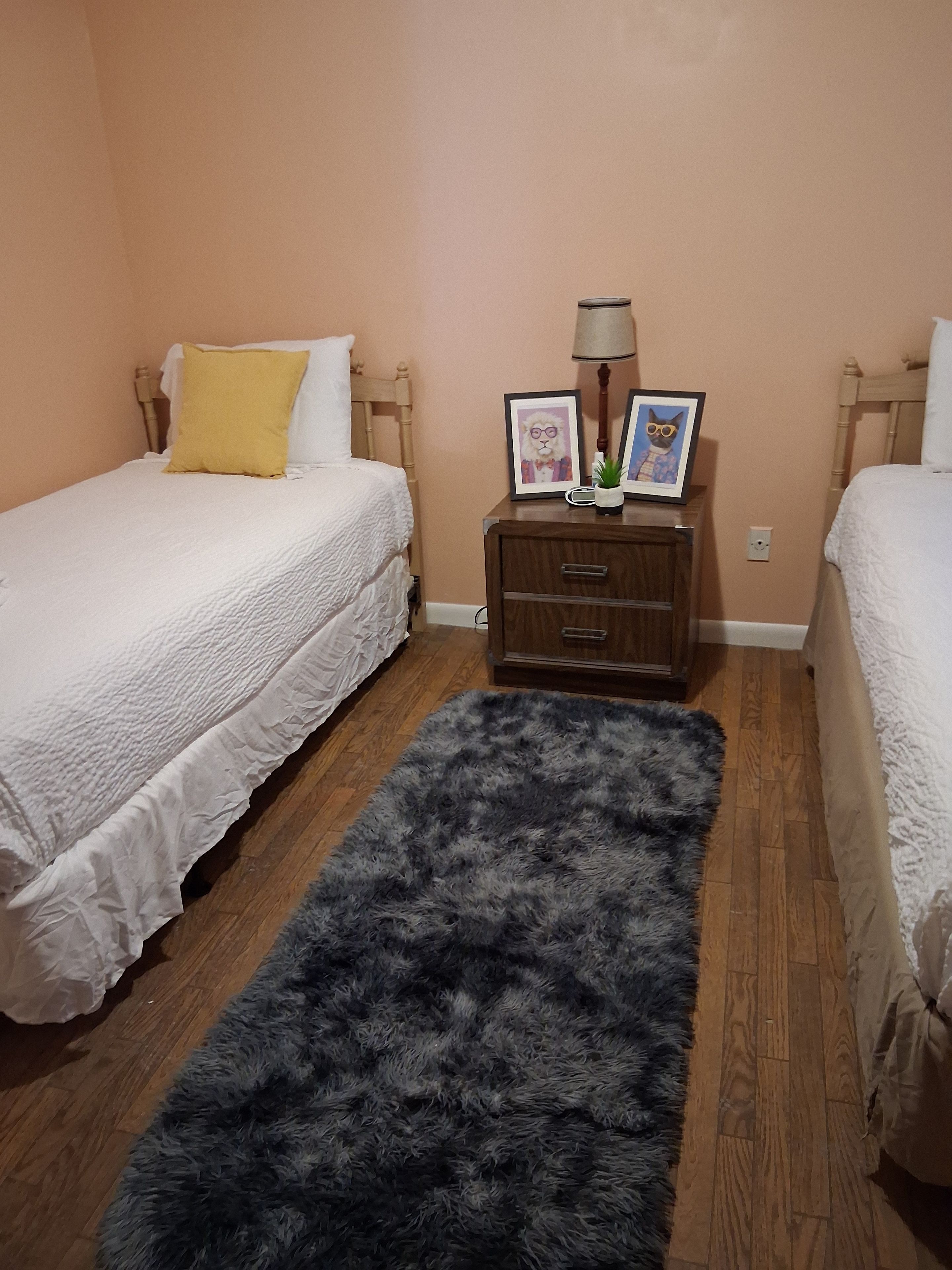 A bedroom with two beds, a wooden dresser, a fluffy rug, and framed pictures on the dresser.
