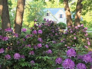 Una casa rodeada de árboles y rododendros en flor.