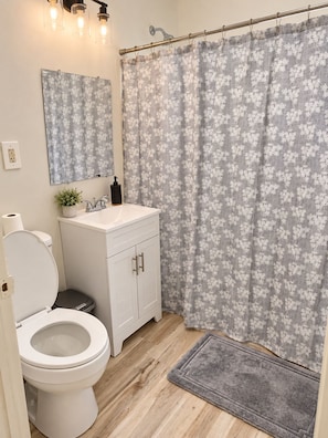 A bathroom with a toilet, sink, mirror, shower curtain, and a small rug. - Cozy 2-Bedroom Home | Near Riverside Park (Indianapolis)