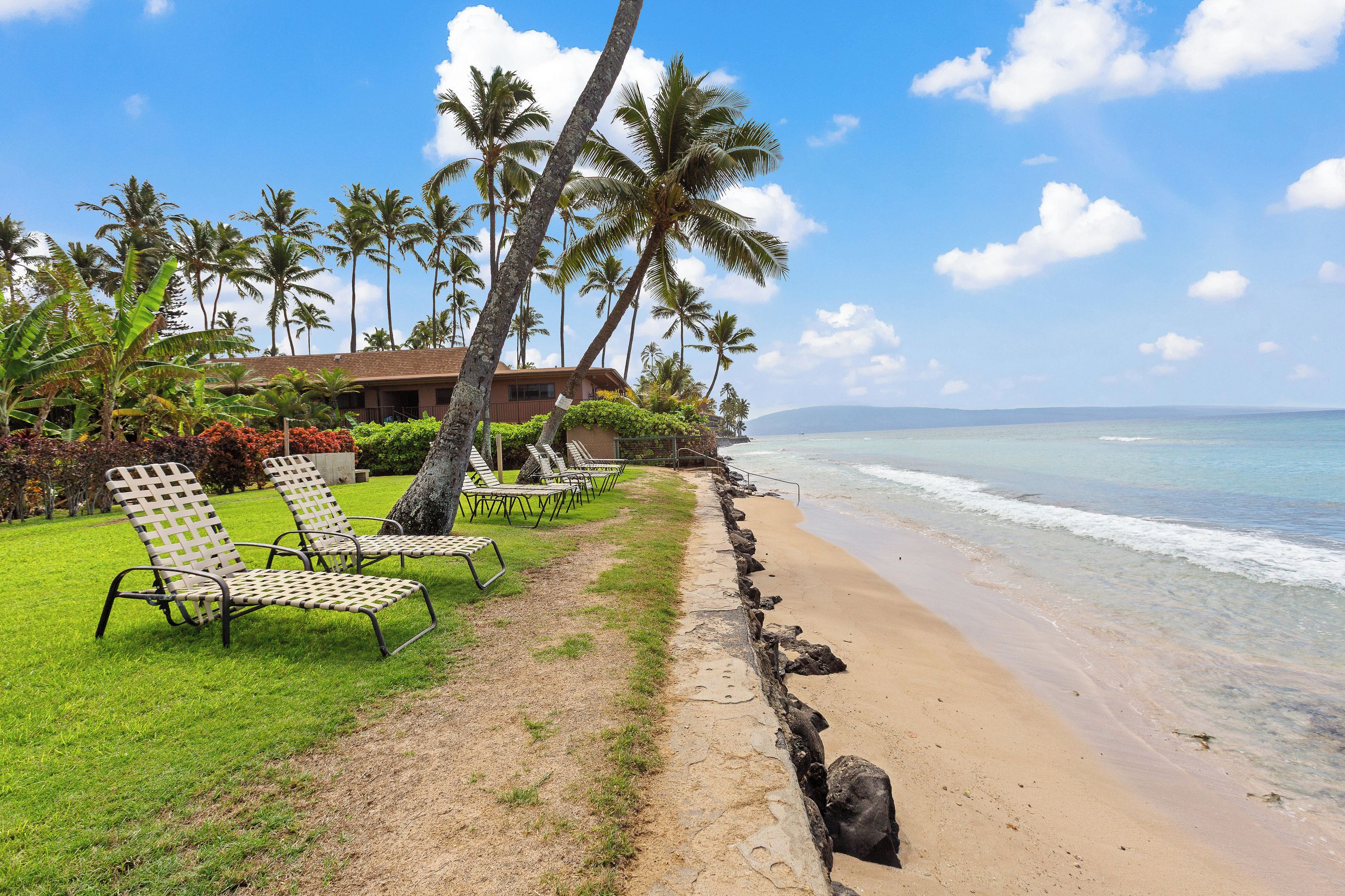 A beachside resort with lounge chairs, palm trees, and a view of the ocean.