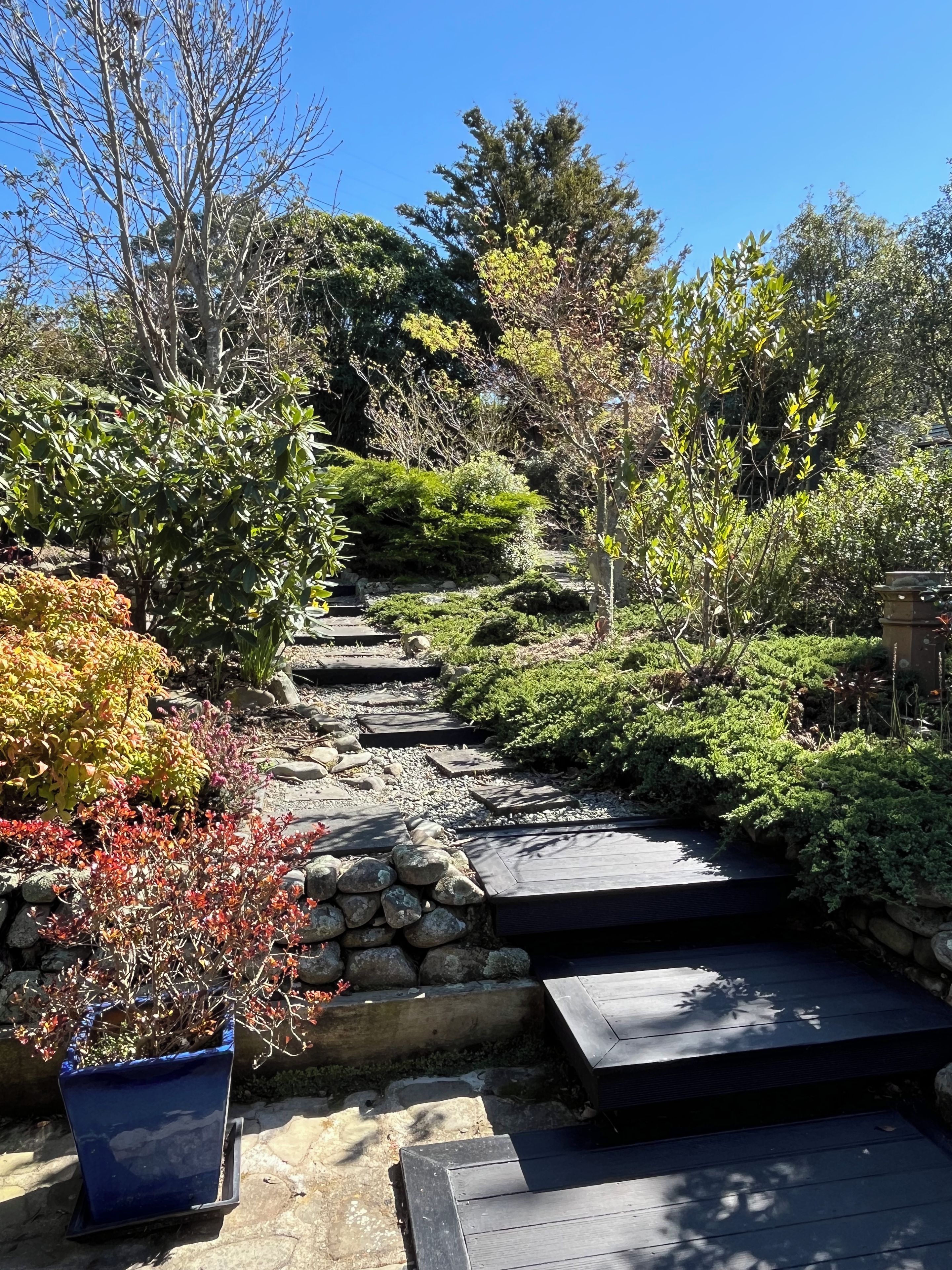 Ein Garten mit einem Kiesweg, der einen Hang hinaufführt, umgeben von verschiedenen Sträuchern und Bäumen.