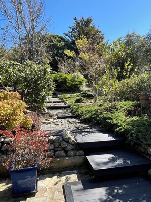 Un jardin avec un sentier de pierres qui monte une pente, entouré de divers arbustes et arbres.