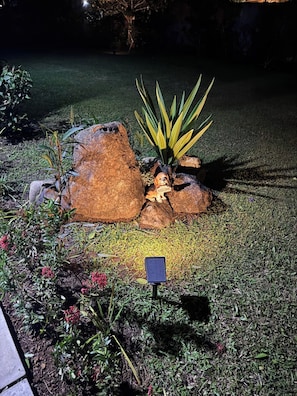 Ein Garten mit einer Felsformation, einem solarbetriebenen Schild und verschiedenen Pflanzen.