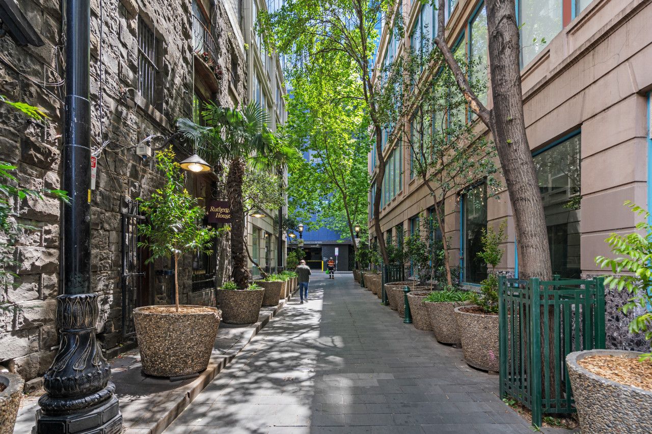 A narrow urban street lined with trees and planters, leading to a building with a blue roof.