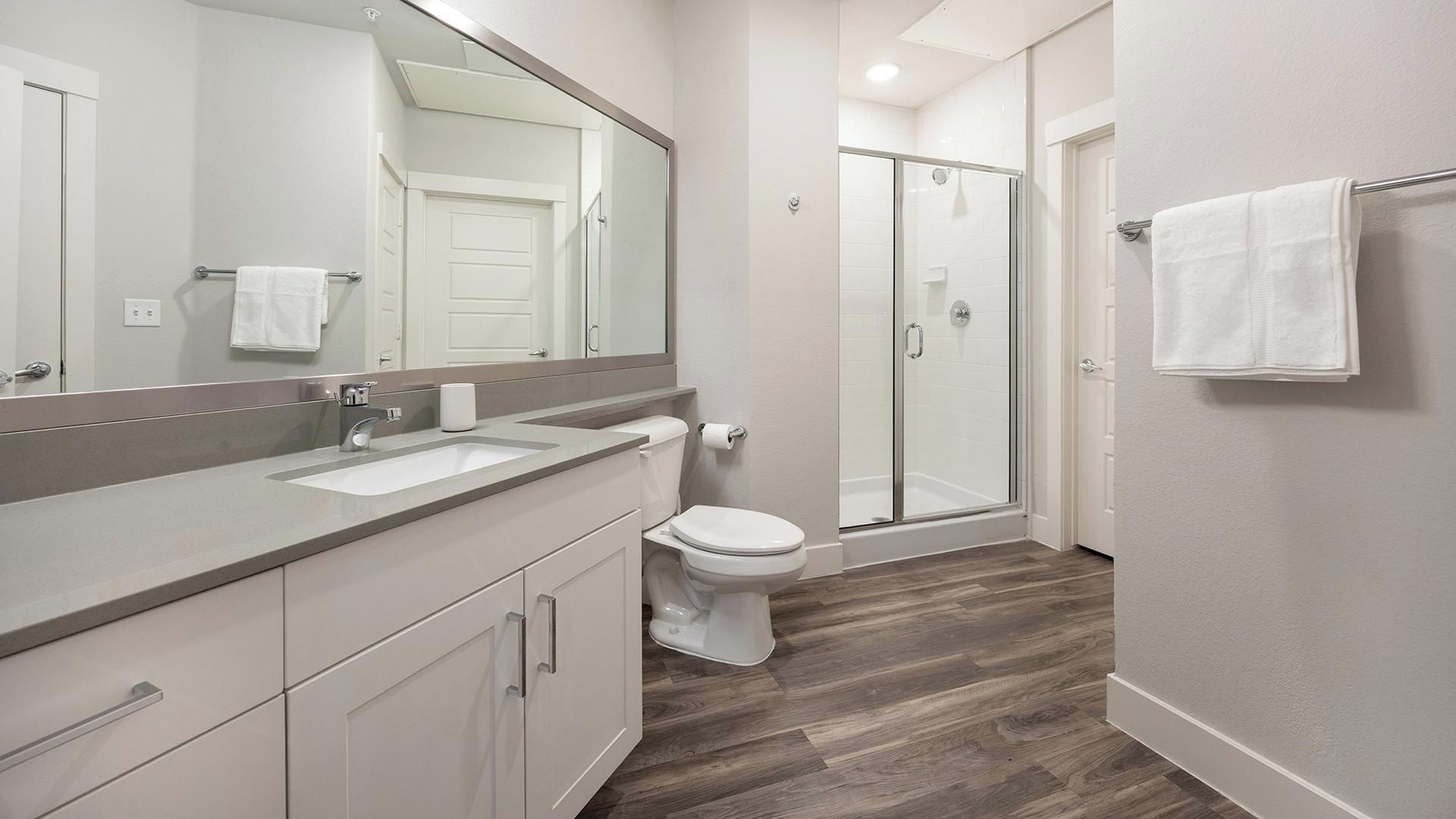 A modern bathroom with a shower, toilet, and vanity.