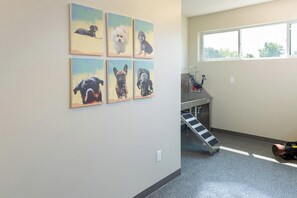 A veterinary clinic interior with a window, a water dispenser, and a ramp leading to a sink. - Landing | Chic 1BD, Gym (Council Bluffs)