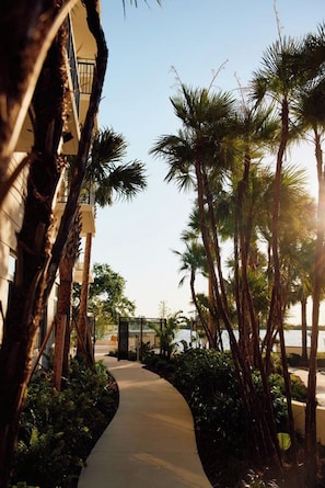 A pathway lined with palm trees leading to a building with balconies. - Landing | Spectacular 2BD, Pool (Tampa)