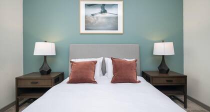 Landing | Stylish 1BD, Courtyard, Gym