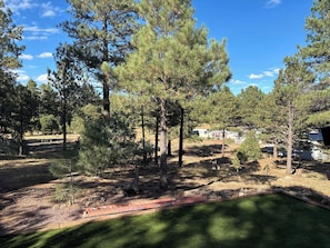 A residential area with a grassy lawn, a wooden deck, and a variety of trees.