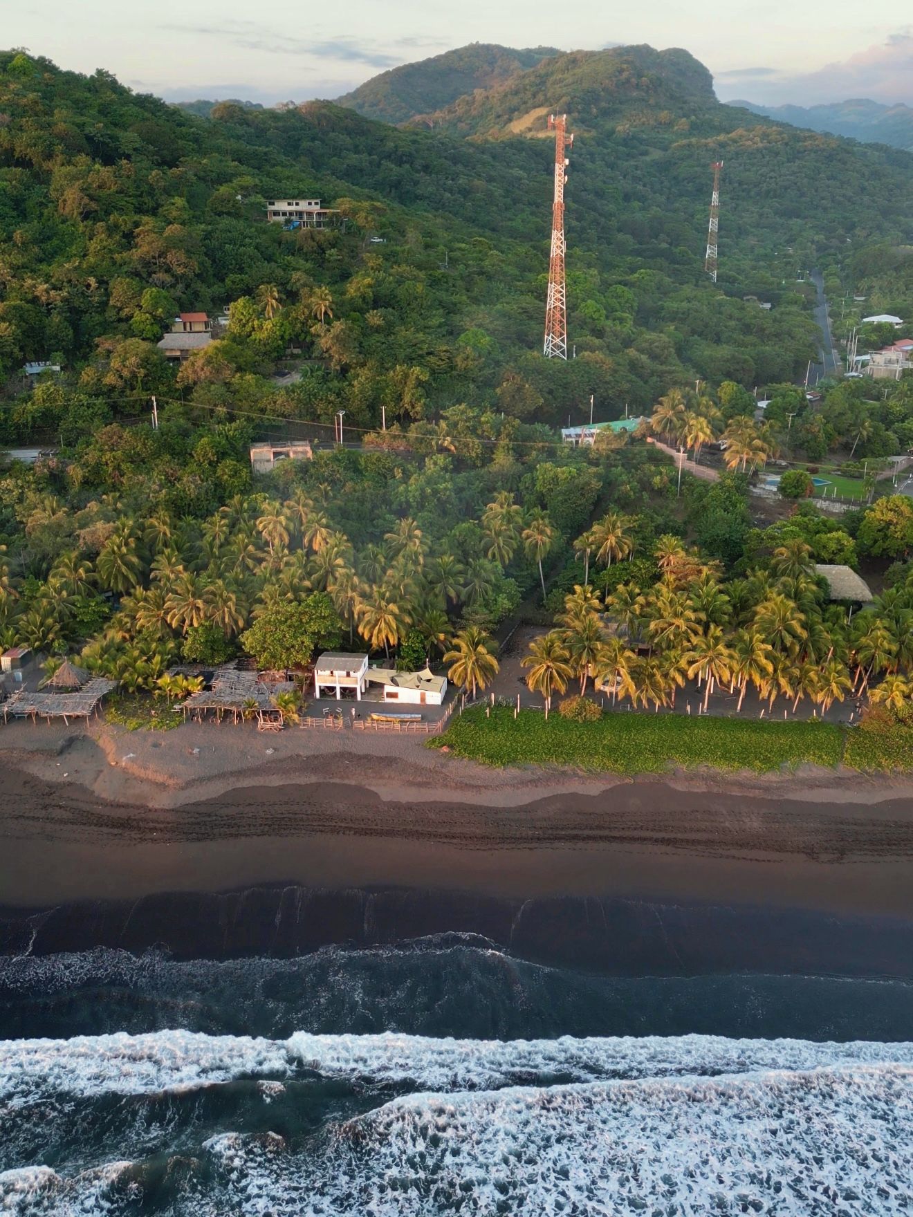 A coastal area with a beach, palm trees, and a telecommunications tower.