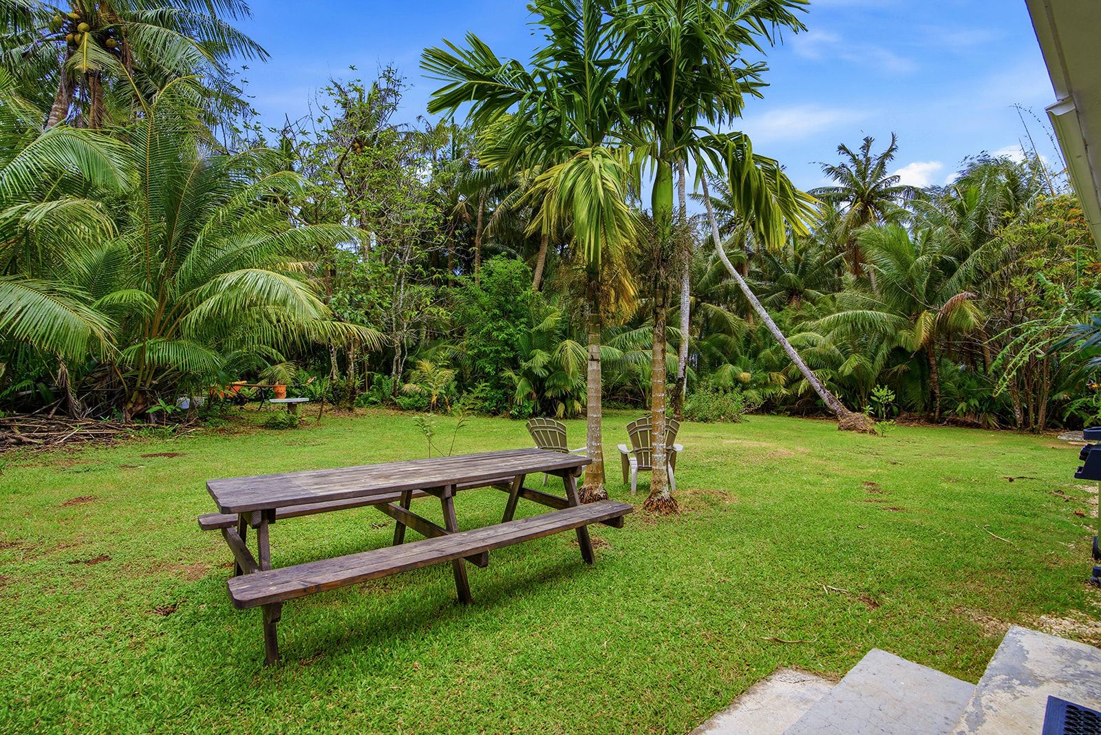 Un espace extérieur verdoyant, avec une table et des chaises en bois pour pique-niquer, entouré d’une végétation tropicale luxuriante et de palmiers.
