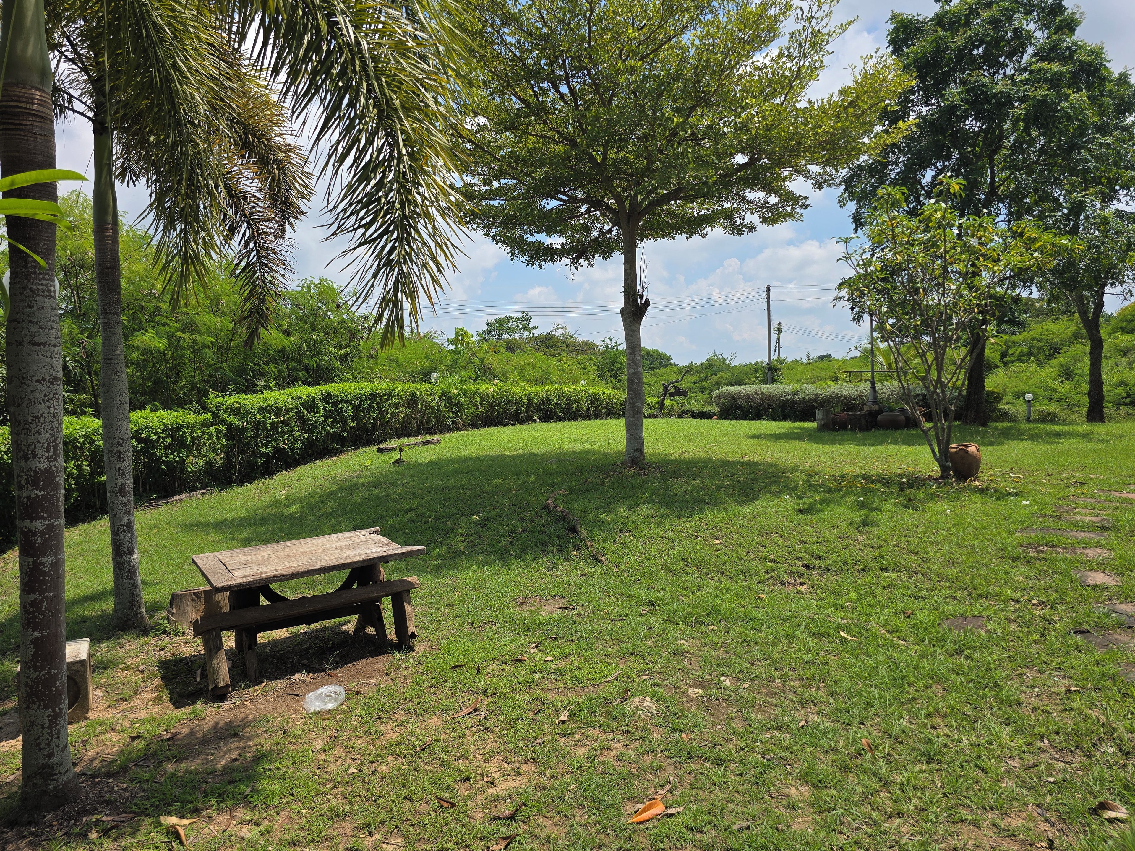 A grassy area with a wooden bench, trees, and a clear sky.