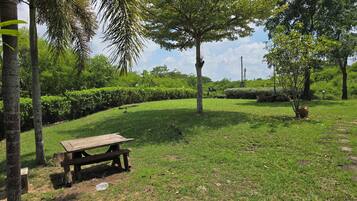 A grassy area with a wooden bench, trees, and a clear sky.