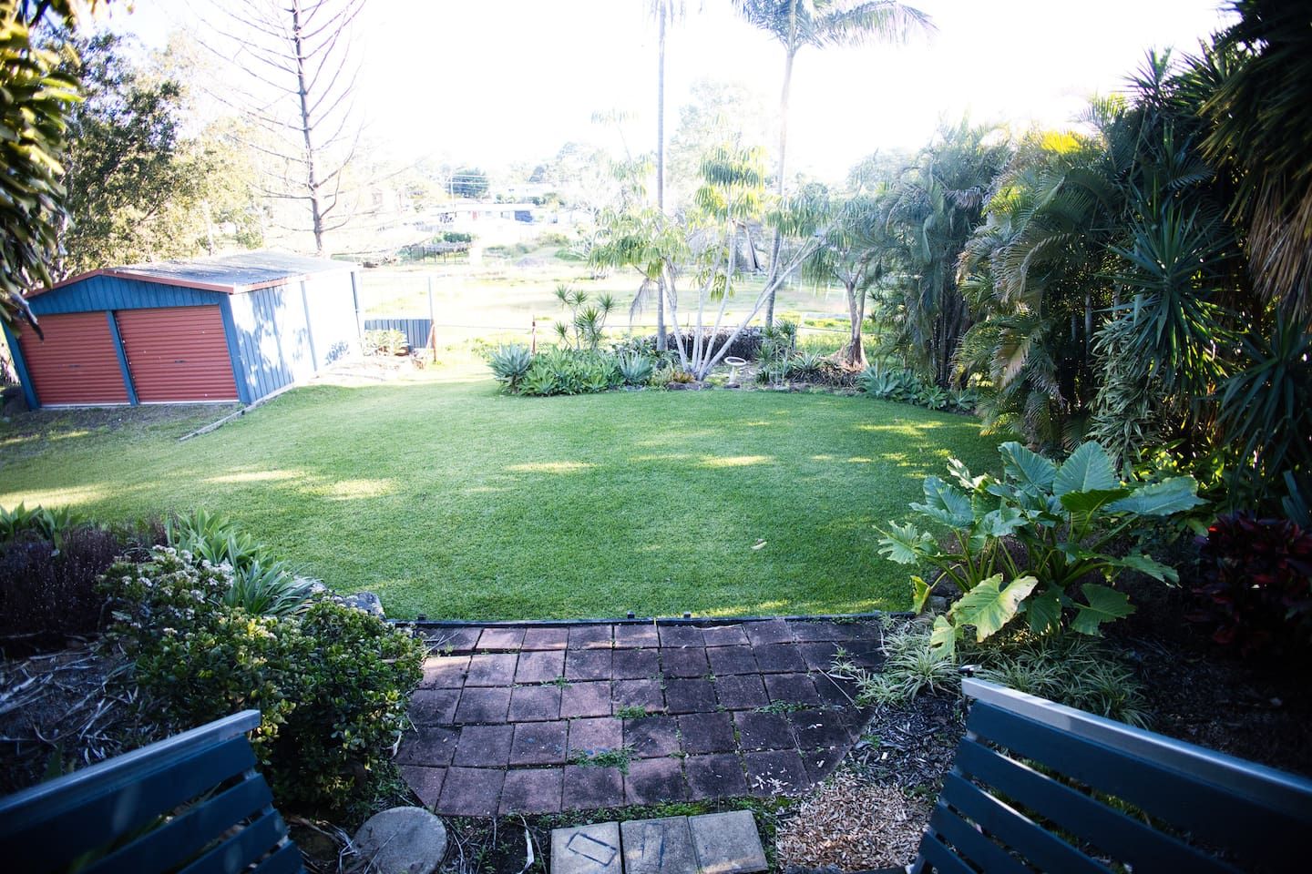 A well-maintained backyard with a lawn, a shed, and various plants.