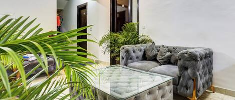 A modern living room with a grey tufted sofa, a glass coffee table, and a potted plant.